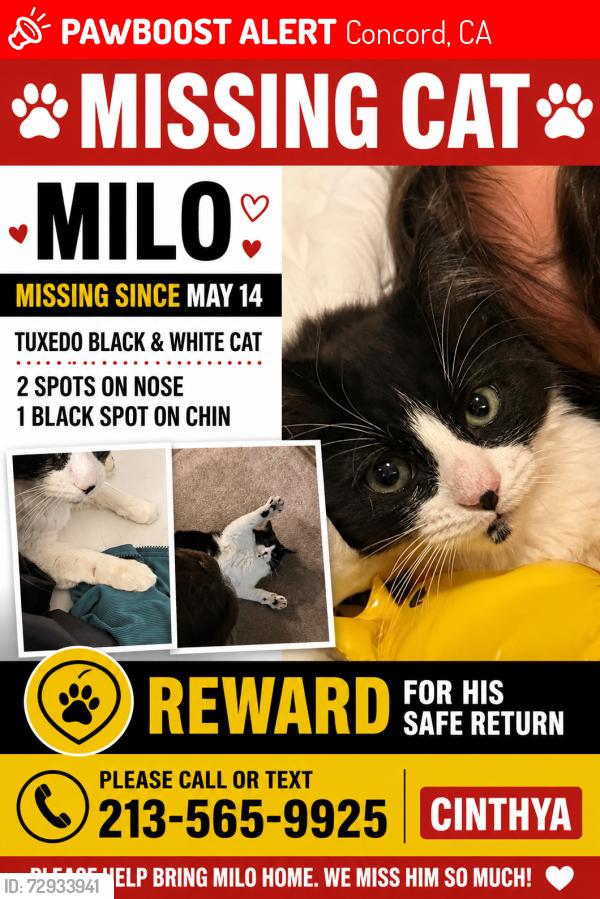 Lost Male Cat last seen Darlene Dr and William Way, Concord, CA 94520