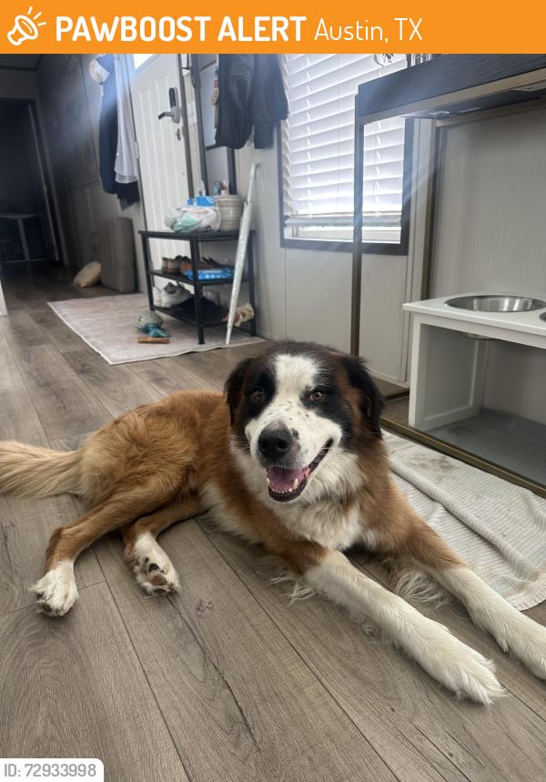 Found/Stray Male Dog last seen Nelson oaks, Austin, TX 78724