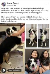Reunited Male Dog last seen Bridle Ridge/Northcrest, Victoria, TX 77904