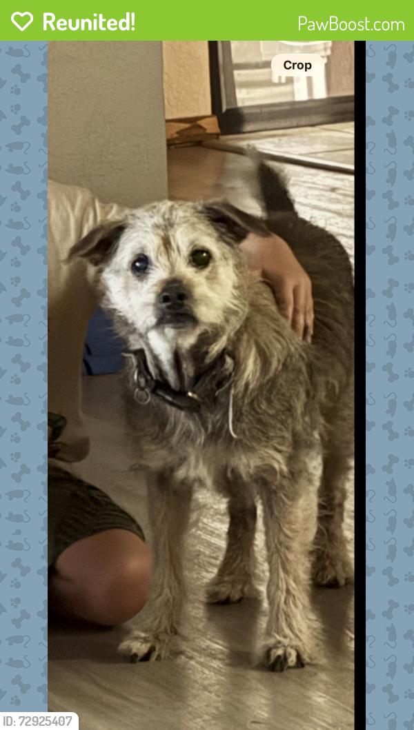Reunited Male Dog last seen 101st and Aspen, Broken Arrow, OK 74012