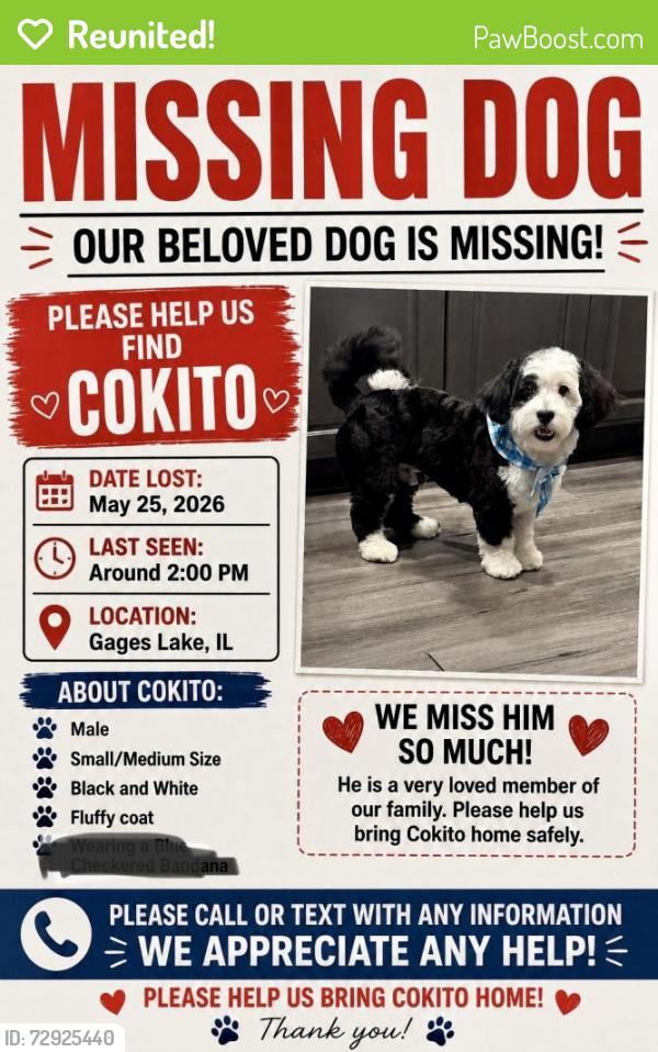 Reunited Male Dog last seen Gages lake rd, Grayslake, IL 60030