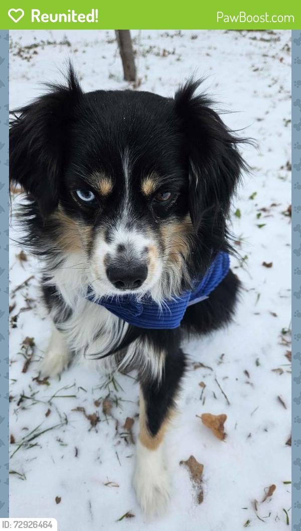 Reunited Male Dog last seen Green Hill Circle neighborhood, Fort Worth, TX 76112