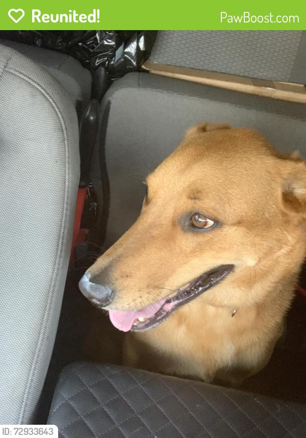 Reunited Male Dog last seen Port Saint Lucie, Port St. Lucie, FL 34986