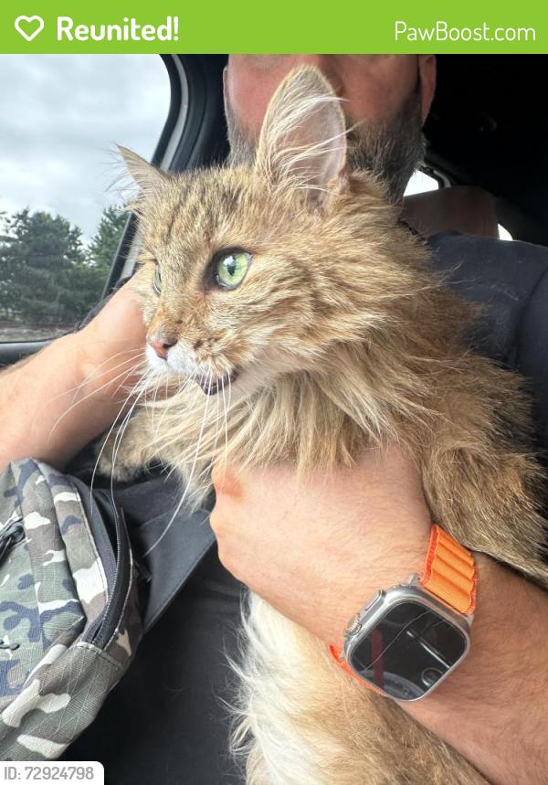 Reunited Unknown Cat last seen Camp Bow Wow, Cuyahoga Falls, OH 44221