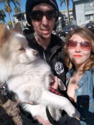 Lost Male Dog last seen Between Walmart and Burlington , Downey, CA 90242