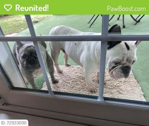 Reunited Male Dog last seen MW 60th St and Tulsa Ave, Oklahoma City, OK 73112