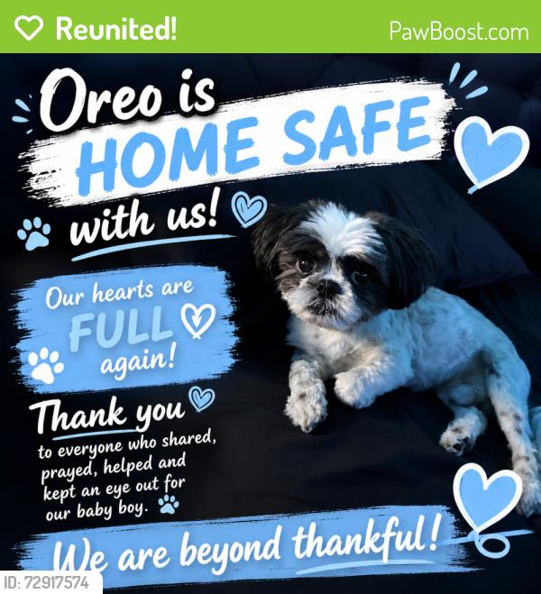 Reunited Male Dog last seen Silver St , Bayonne, NJ 07002