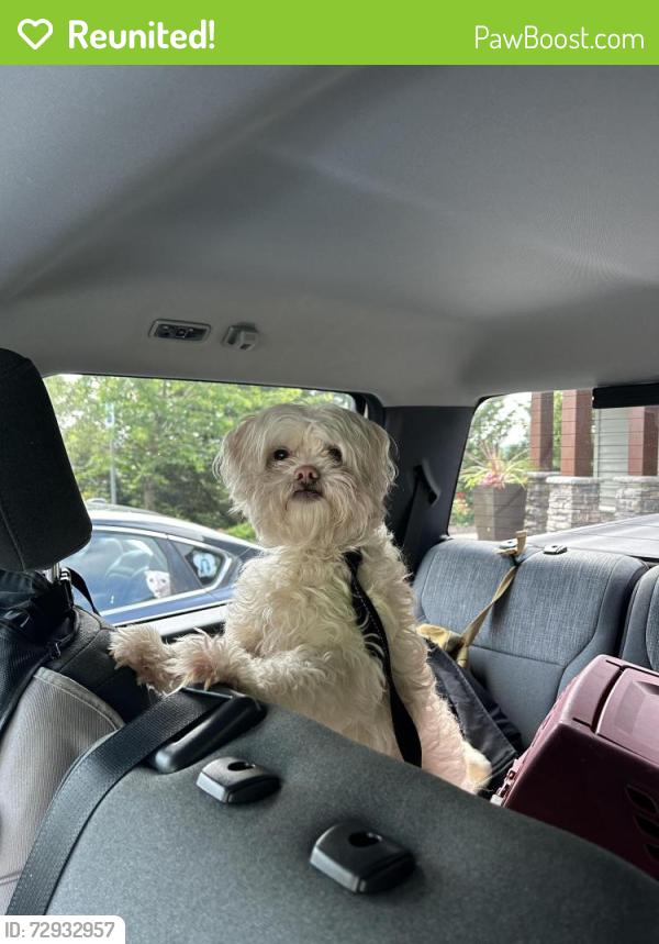 Reunited Male Dog last seen SE Misty Drive/SE 157th Ave, Happy Valley, OR 97086