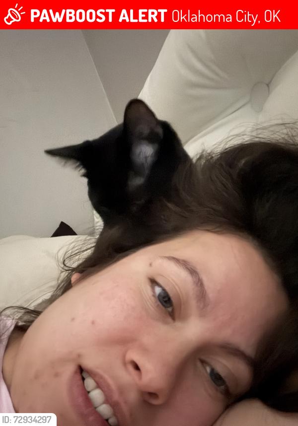 Lost Male Cat last seen Condor Terrace & 107th St, Oklahoma City, OK 73162
