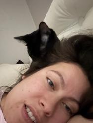 Lost Male Cat last seen Condor Terrace & 107th St, Oklahoma City, OK 73162