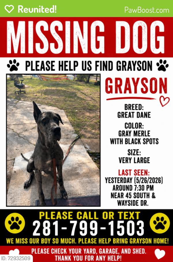 Reunited Male Dog last seen Near south an wayside, Houston, TX 77023