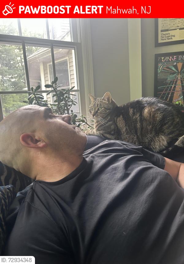 Lost Male Cat last seen East Crescent Road, Mahwah, NJ 07430