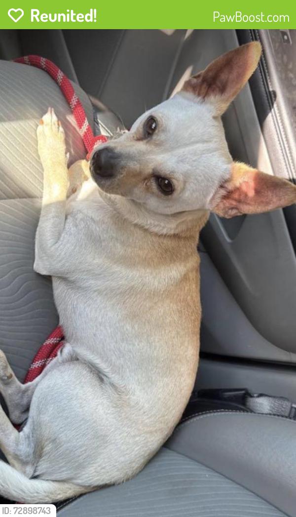 Reunited Male Dog last seen Bear Creek Parkway and Grange Hall Dr, Euless, TX 76039