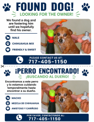 Reunited Male Dog last seen Lake Bluff dr & Lark spur , Flower Mound, TX 75028