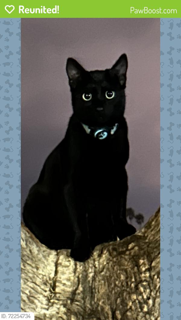 Reunited Male Cat last seen Robb field , San Diego, CA 92106