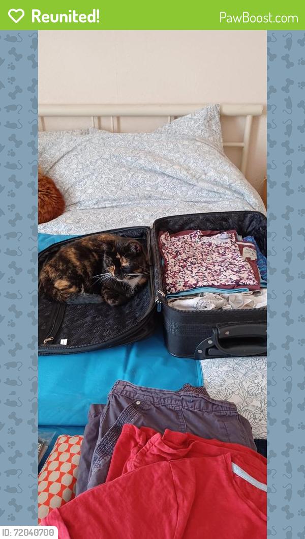 Reunited Female Cat last seen Northern Parade, Mountbatten Centre , Portsmouth, England PO2