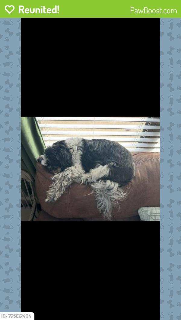 Reunited Male Dog last seen Near Cloudlock Dr, Saginaw, TX 76179, USA, Saginaw, TX 76179