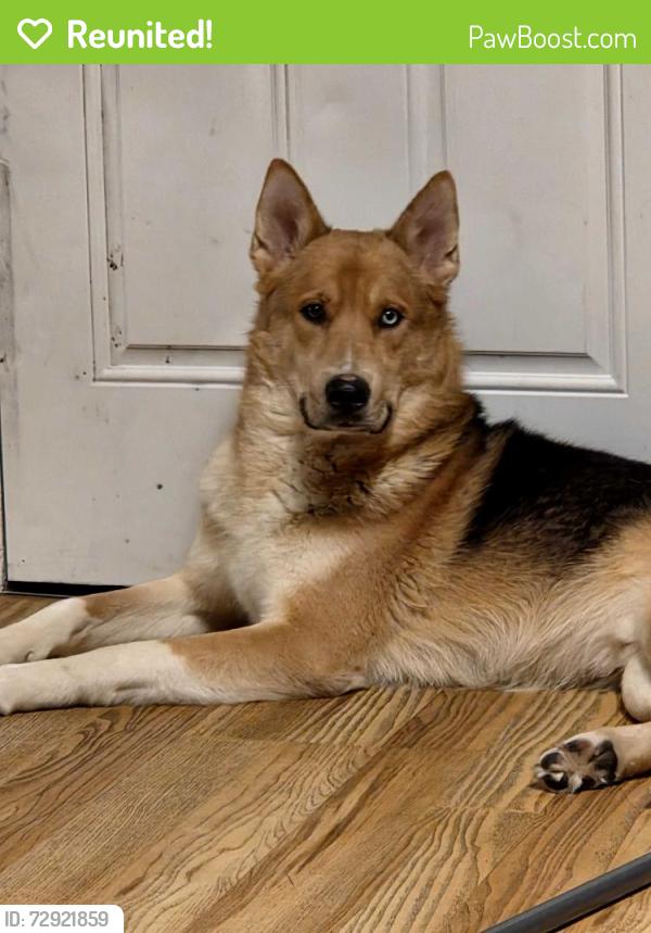 Reunited Male Dog last seen Morris and Kappes, Indianapolis, IN 46221