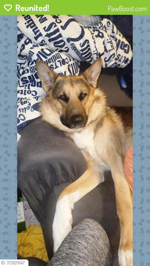 Reunited Male Dog last seen Morris and Kappes, Indianapolis, IN 46221