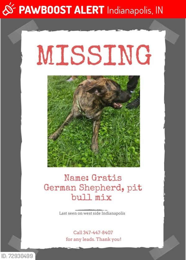 Lost Male Dog last seen Near Hancock St, Indianapolis, IN 46222