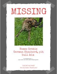 Lost Male Dog last seen Near Hancock St, Indianapolis, IN 46222