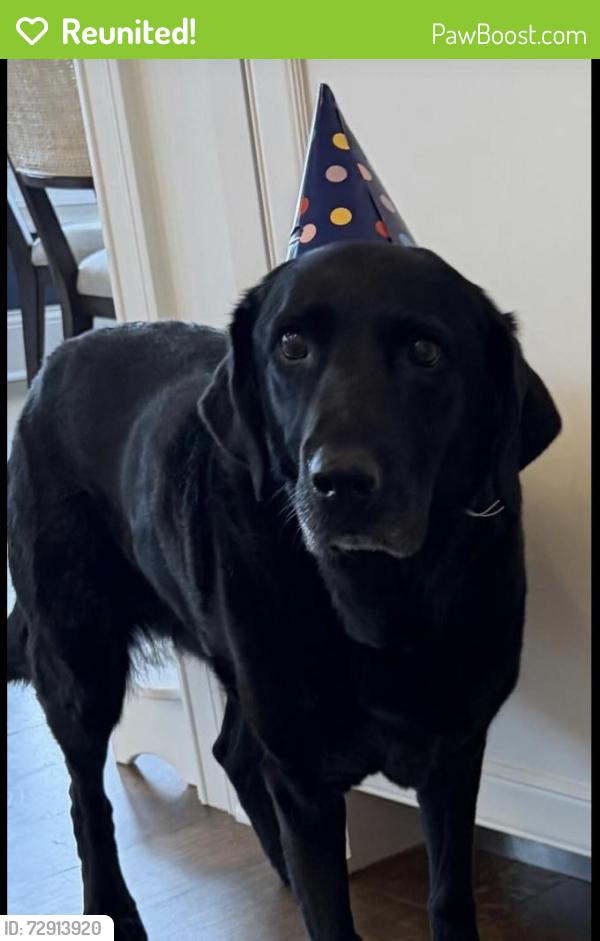 Reunited Female Dog last seen Londonderry Rd, Edina, MN 55436
