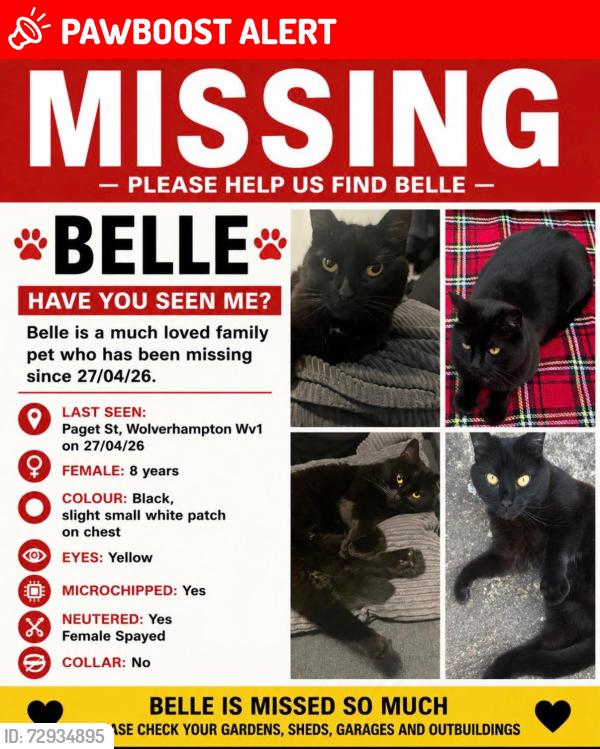 Lost Female Cat last seen Paget street, Sherwood street, West park, West Midlands, England WV1 4AR