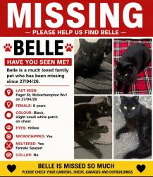 Lost Female Cat last seen Paget street, Sherwood street, West park , West Midlands, England WV1 4AR