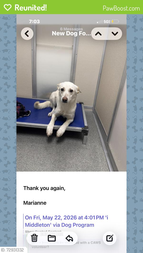 Reunited Male Dog last seen Near empire ave , Park City, UT 84060