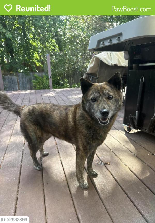 Reunited Unknown Dog last seen Sw Huber and Capitol, Portland, OR 97219