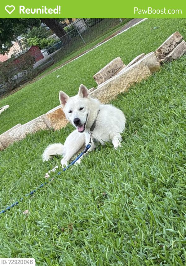 Reunited Male Dog last seen Galloway elementary school , Mesquite, TX 75149