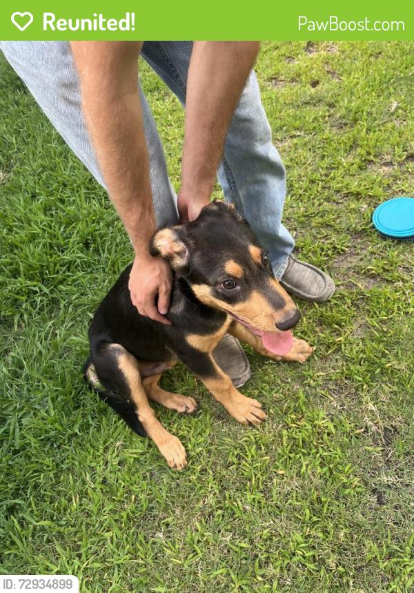 Reunited Male Dog last seen Waa Dr, Tyler, TX 75703, USA, Tyler, TX 75703