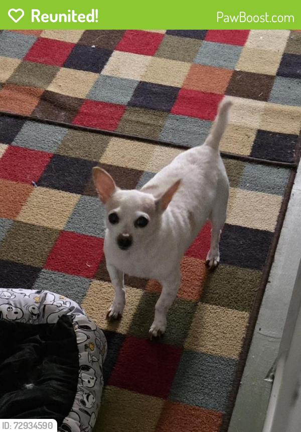 Reunited Male Dog last seen Hickman, Windsor Heights, IA 50324