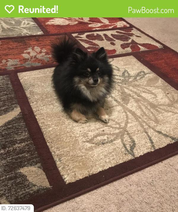 Reunited Male Dog last seen Johnson Rd, Little Rock, AR 72103