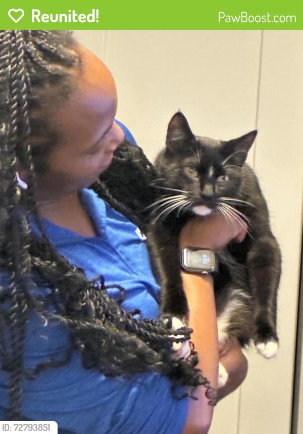 Reunited Male Cat last seen Valley Creek Drive , Boiling Springs, SC 29316