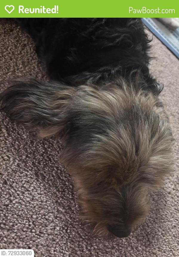 Reunited Unknown Dog last seen Mahogany way, Antioch, CA 94509