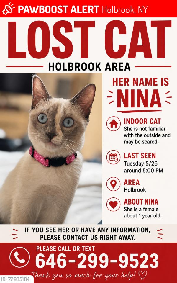 Lost Female Cat last seen Island 16 movies , horseblock rd , Holbrook, NY 11741
