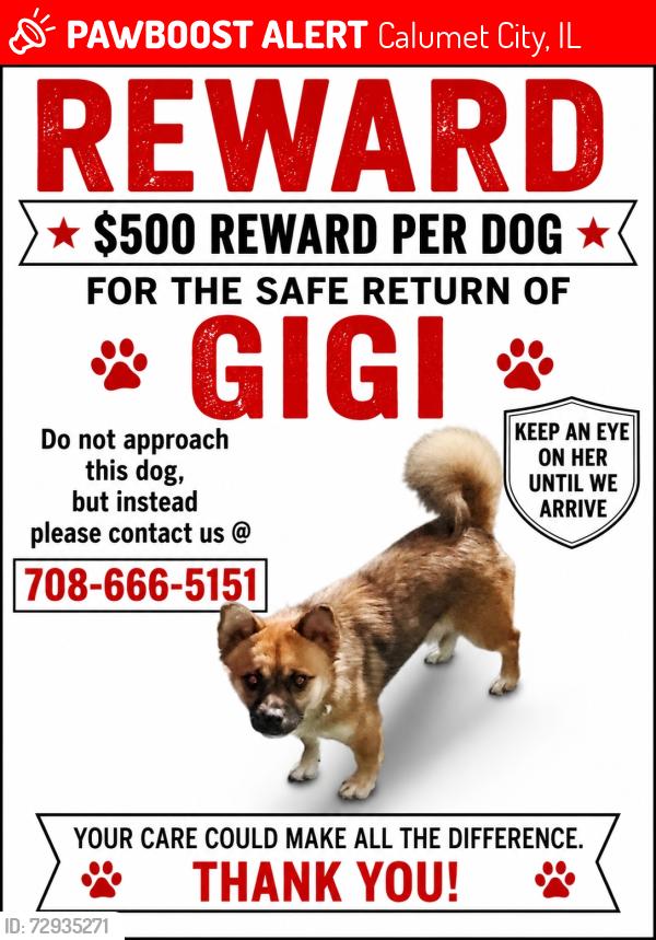 Lost Female Dog last seen Pulaski , Calumet City, IL 60409