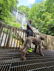 Reunited Male Dog last seen Near hemlock trail, Blue Ridge, GA 30513
