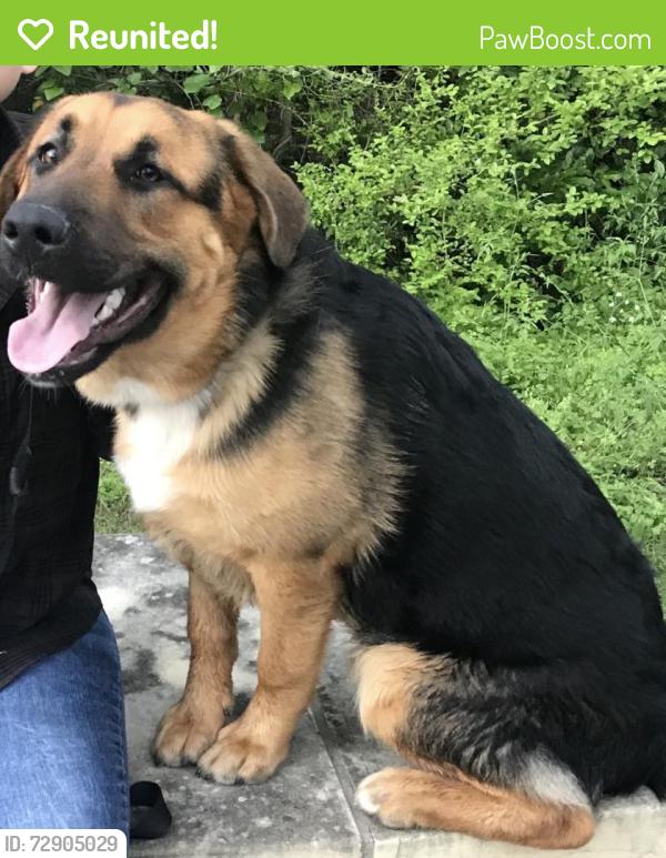 Reunited Male Dog last seen Rock creek & Steinbeck Bend , Waco, TX 76708