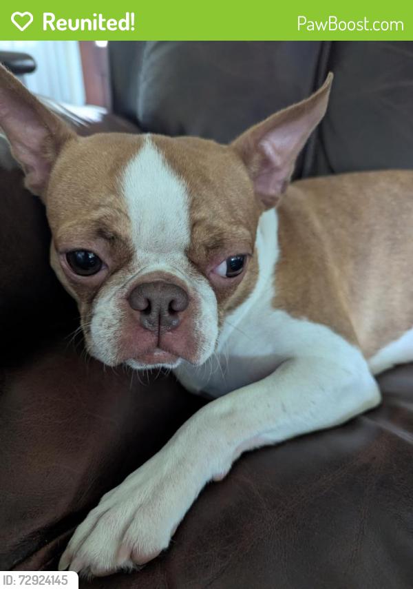 Reunited Female Dog last seen Near S Lakeshore Dr, Shreveport, LA 71119