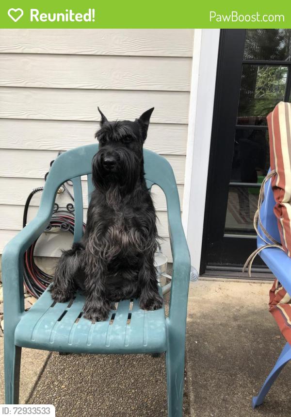 Reunited Female Dog last seen Andresen , Vancouver, WA 98664