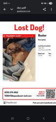 Lost Male Dog last seen Eagles Nest , Carroll County, GA 30116