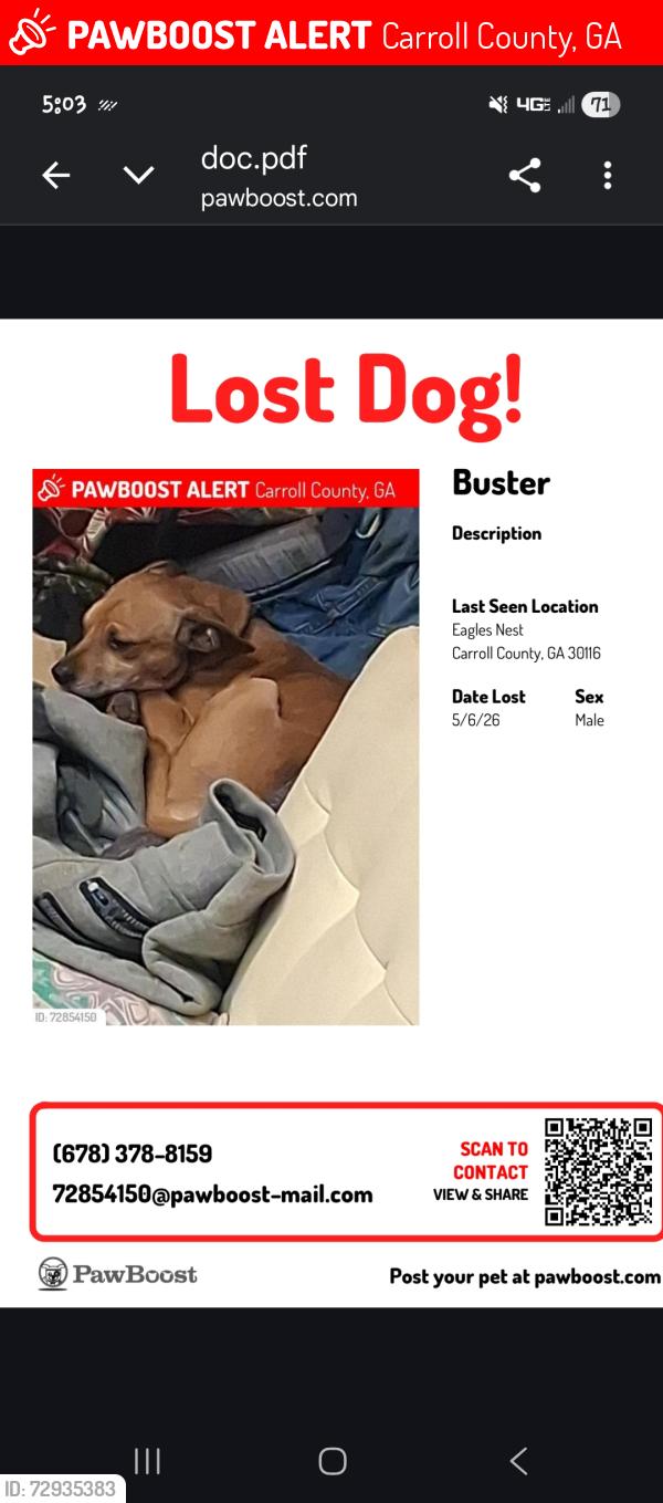 Lost Male Dog last seen Eagles Nest , Carroll County, GA 30116