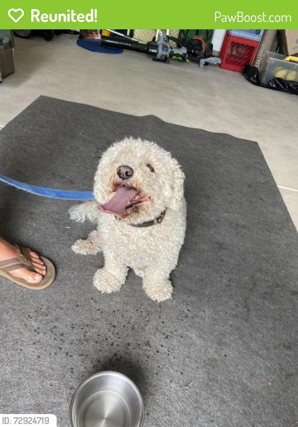Reunited Unknown Dog last seen Bonnet Dr in Robbers Roost North Myrtle Beach, North Myrtle Beach, SC 29582