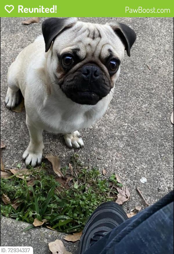 Reunited Male Dog last seen Anson Cir , Pasadena, TX 77503