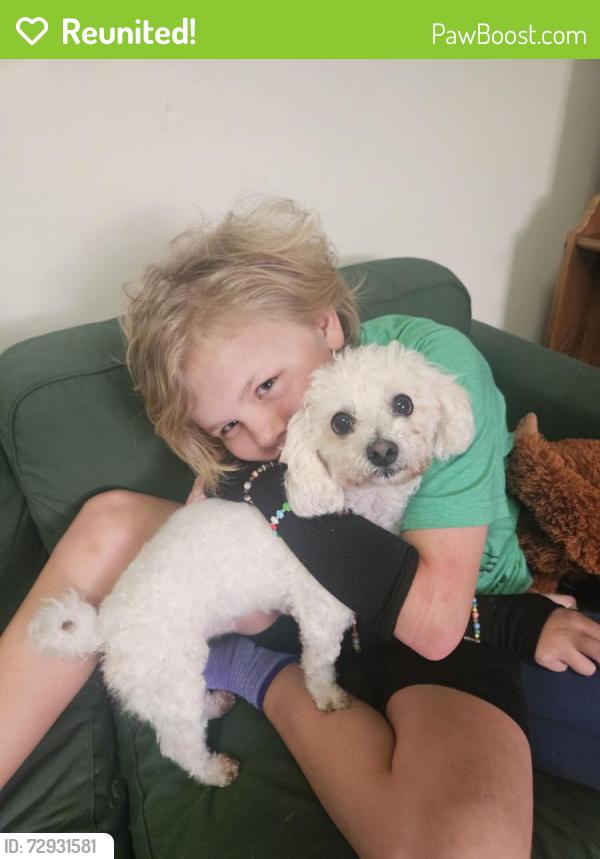 Reunited Male Dog last seen Near 31st St richmond , Richmond, CA 94804