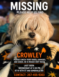 Lost Male Dog last seen 16th and Somerville , Philadelphia, PA 19141