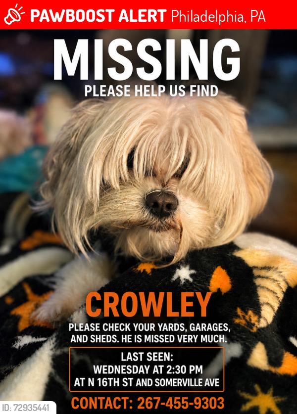 Lost Male Dog last seen 16th and Somerville , Philadelphia, PA 19141