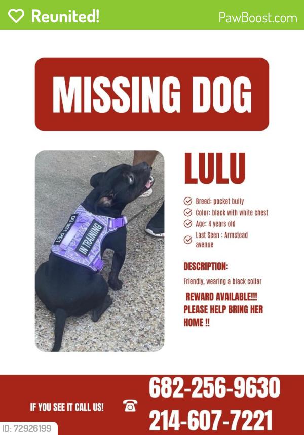 Reunited Female Dog last seen Armstead Ave, Grand Prairie, TX 75051, USA, Grand Prairie, TX 75051